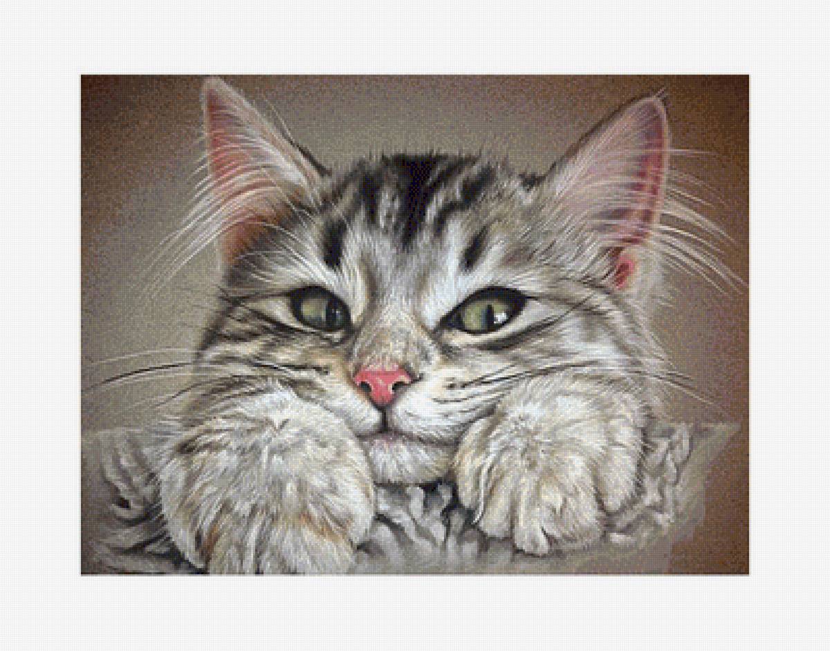 №1595931 - предпросмотр