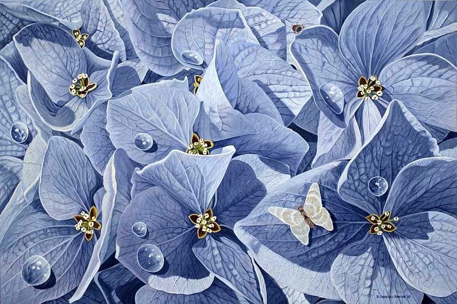 Синие цветы - цветы, природа - оригинал