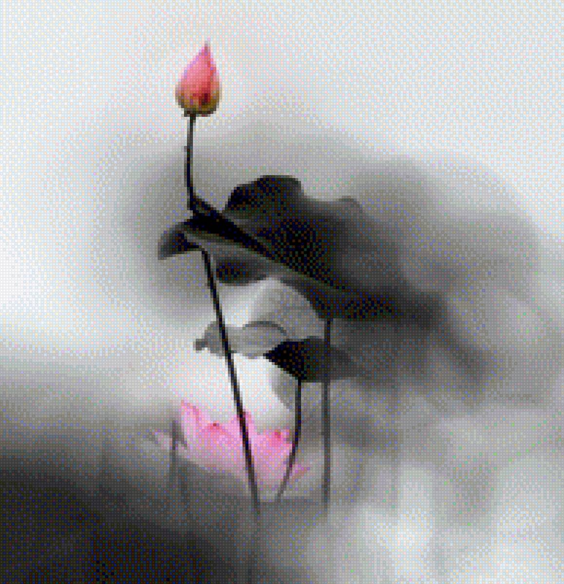 лилия - предпросмотр