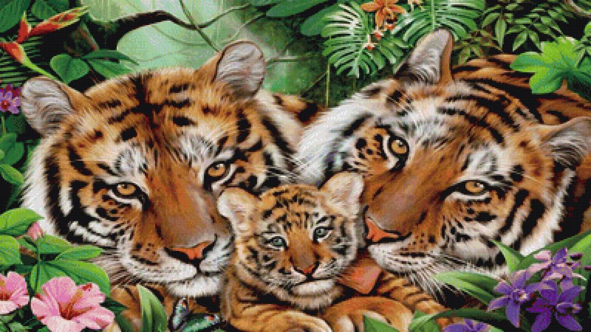 Тигры - тигры, животные - предпросмотр