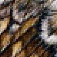 Предпросмотр схемы вышивки «Сова» (№1596729)