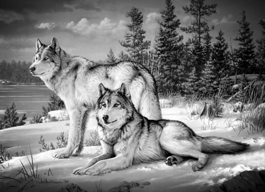 №1596892 - оригинал