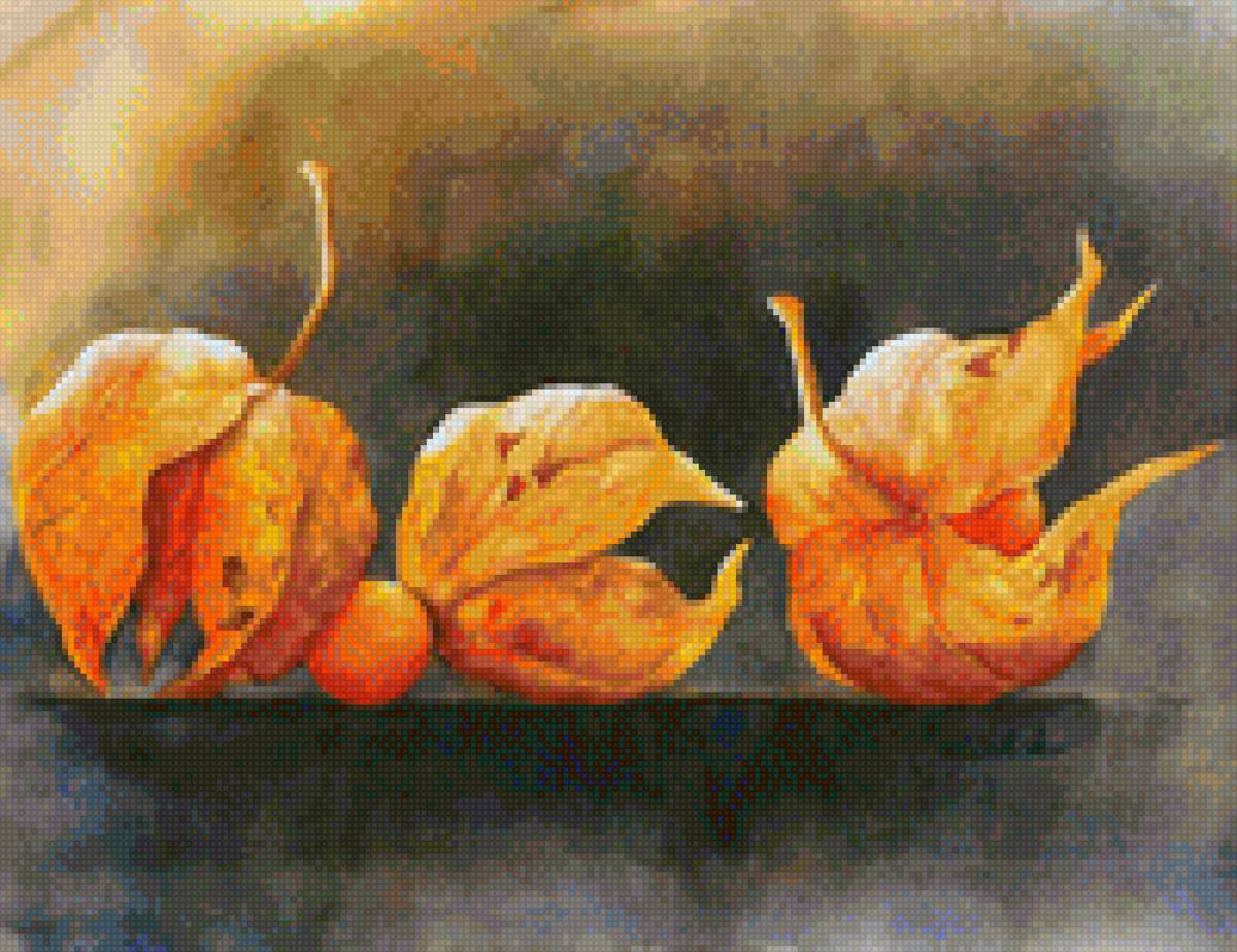 физалис - предпросмотр