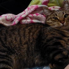 Александра