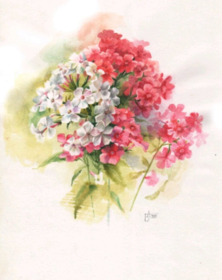 Цветы - оригинал