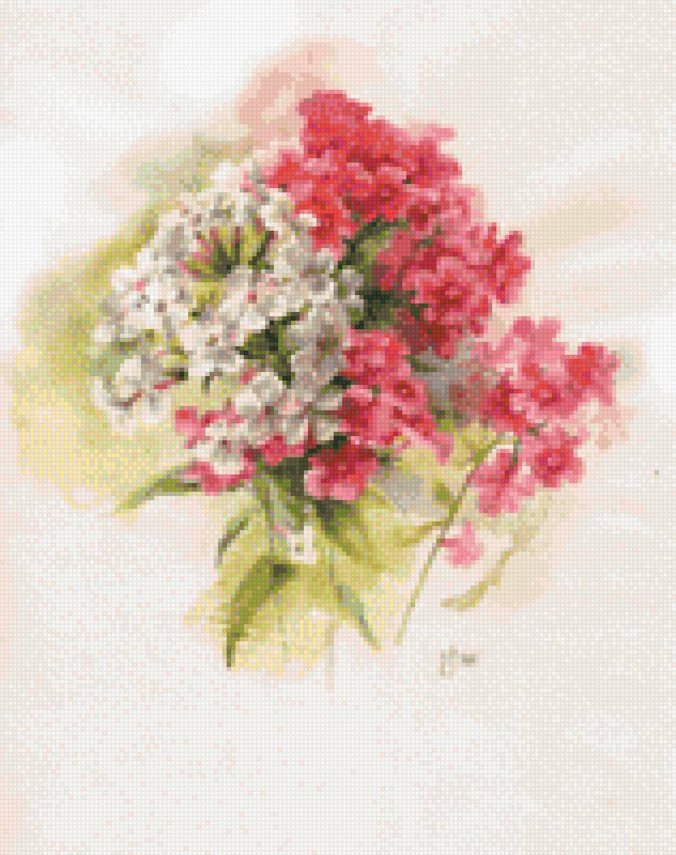 Цветы - предпросмотр