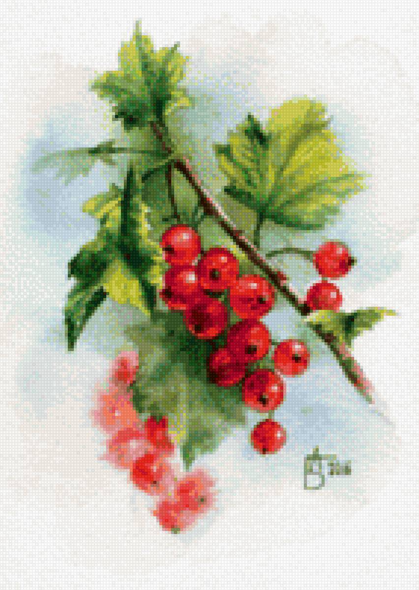 Ягоды - предпросмотр