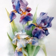 Схема вышивки «Цветы»