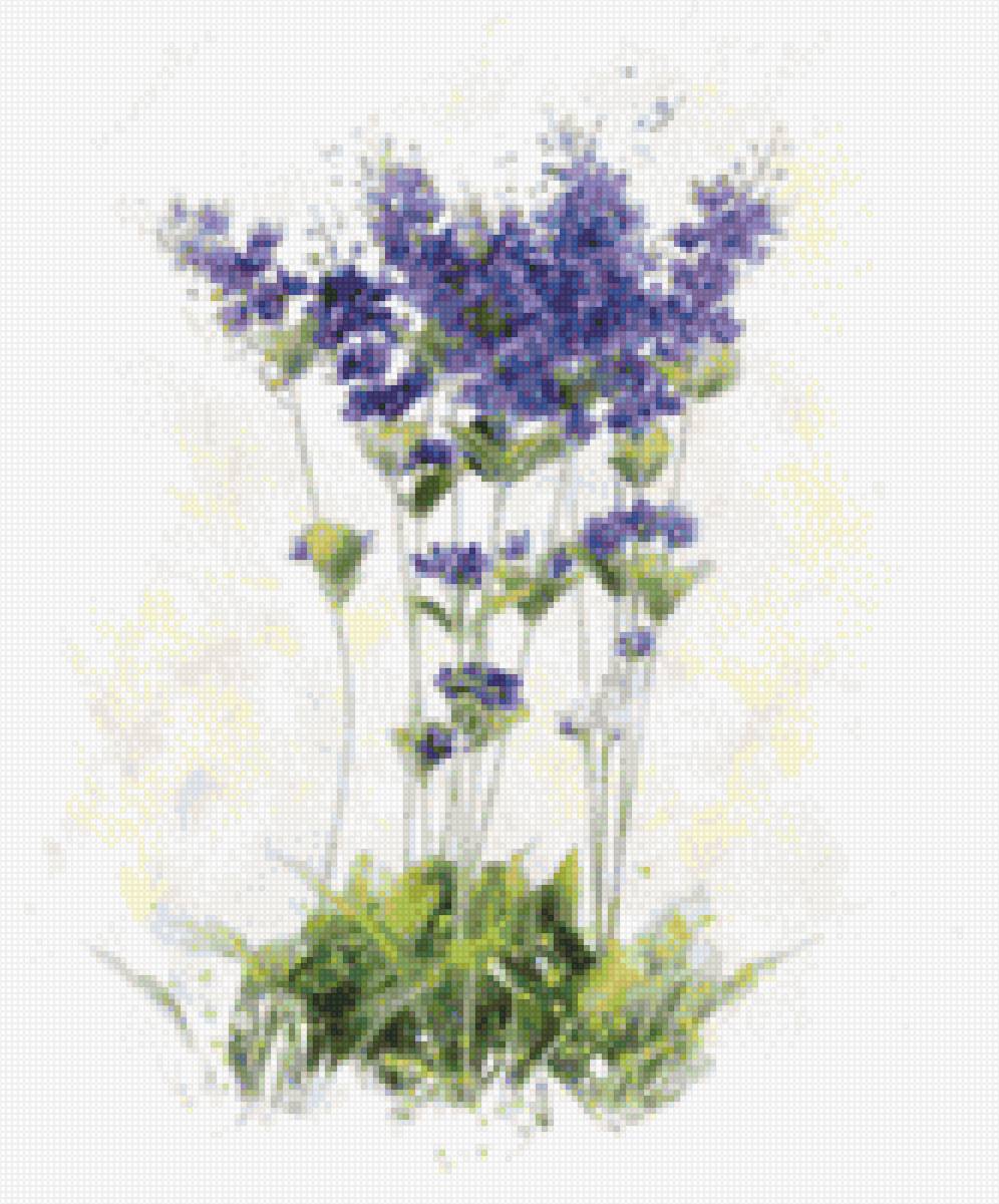 Цветы - предпросмотр