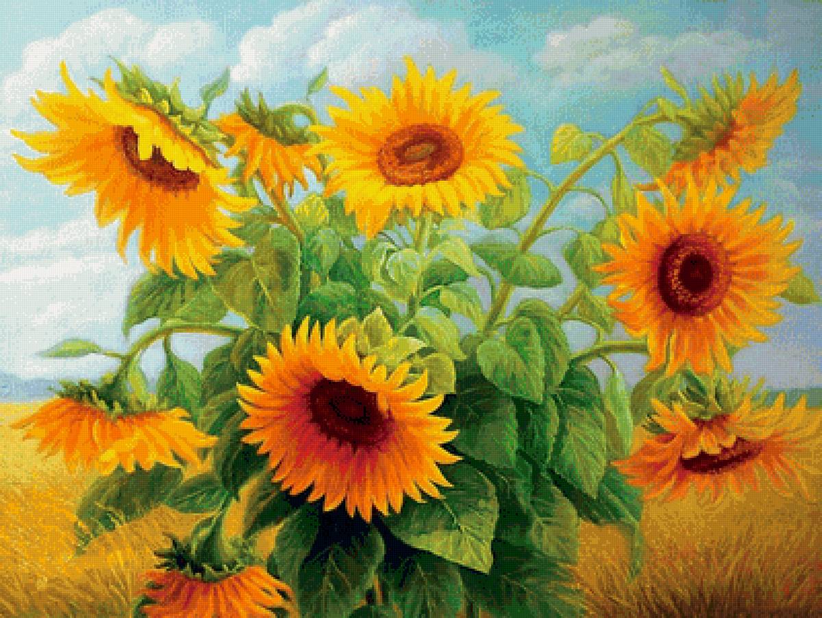 №1597843 - предпросмотр