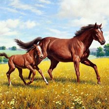 Схема вышивки «Лошади»