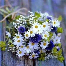 Схема вышивки «ромашки букет»