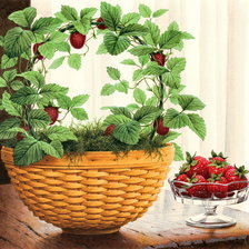 Схема вышивки «№1598605»