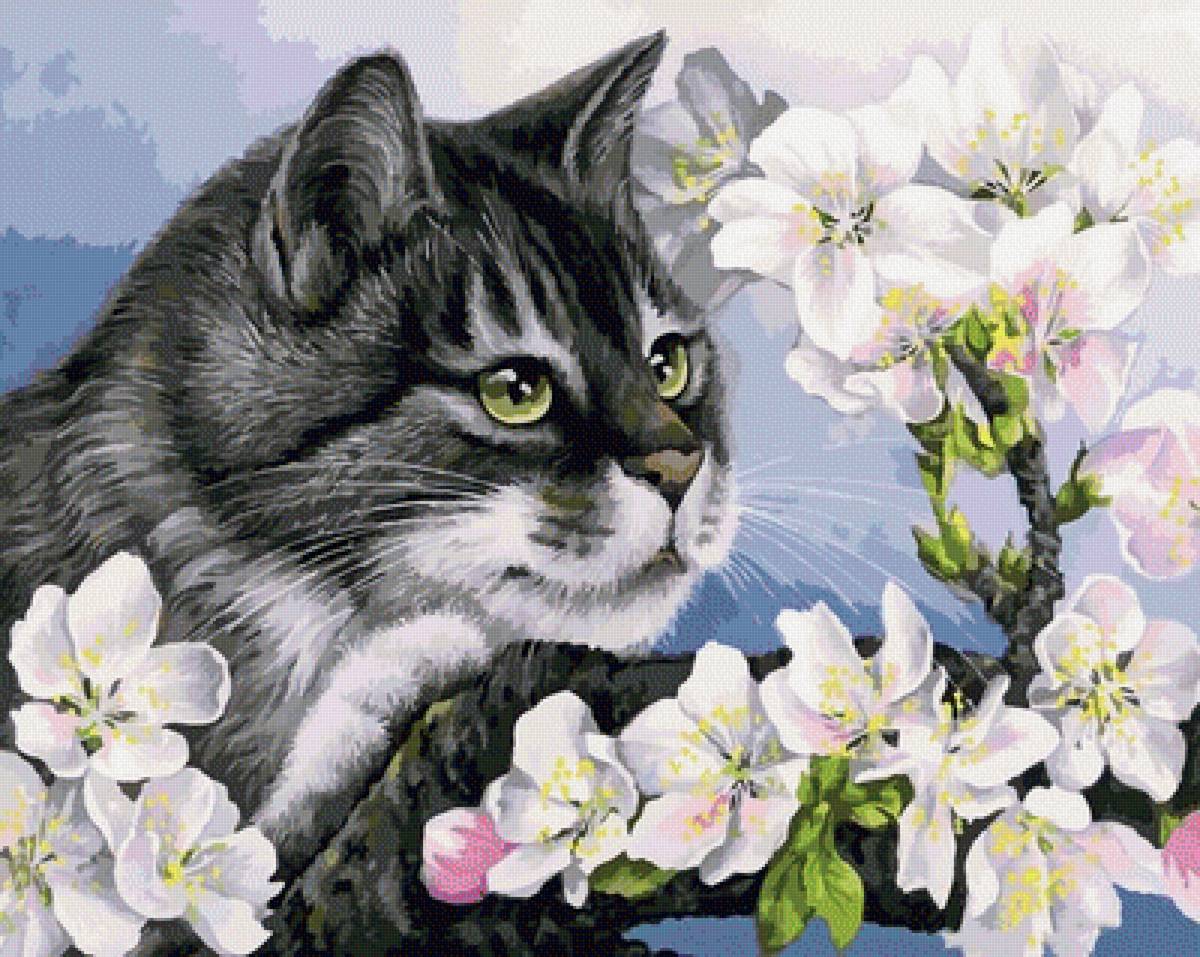 Кот в яблоневом цвету - кот, цветы, домашние животные - предпросмотр