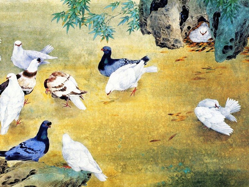 Pticy - оригинал