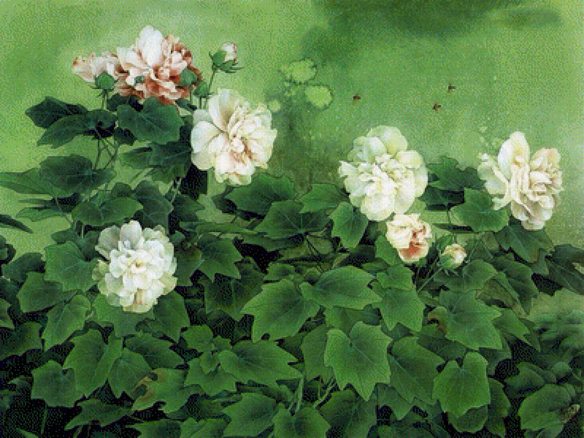 Cvety - предпросмотр