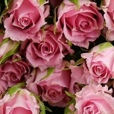 Схема вышивки «Cvety»