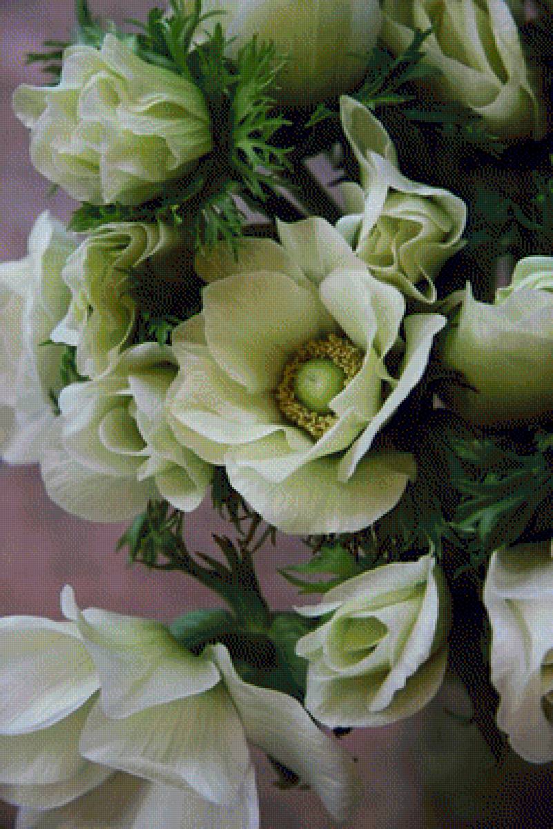 Cvety - предпросмотр