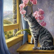 Схема вышивки «Кот»