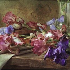 Схема вышивки «№1599355»