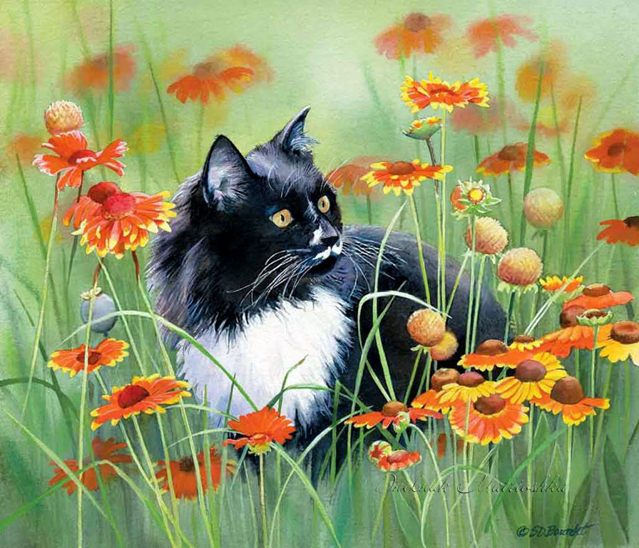 №1599724 - цветы, кошка - оригинал