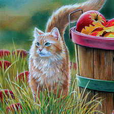 Схема вышивки «Кот»