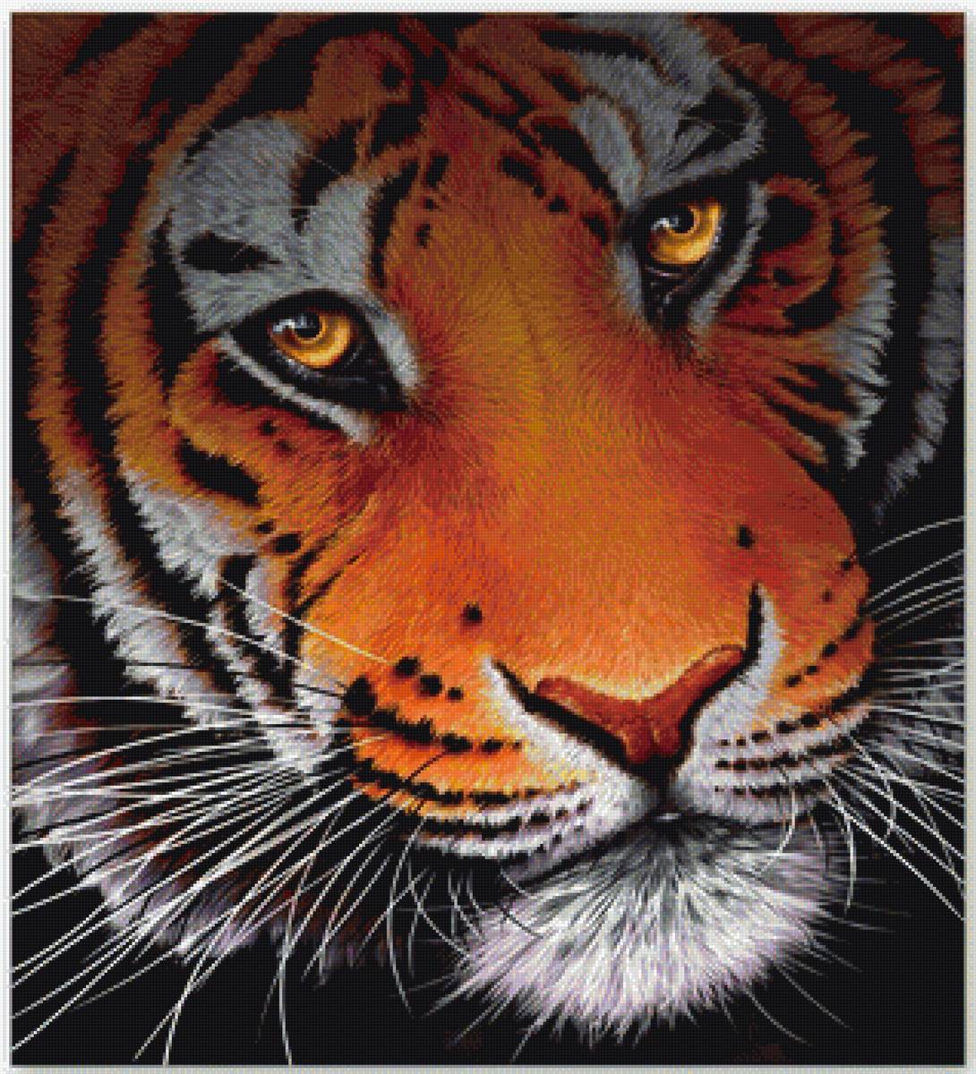 Тигр - животные - предпросмотр