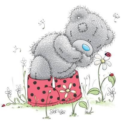 мишка2 - оригинал