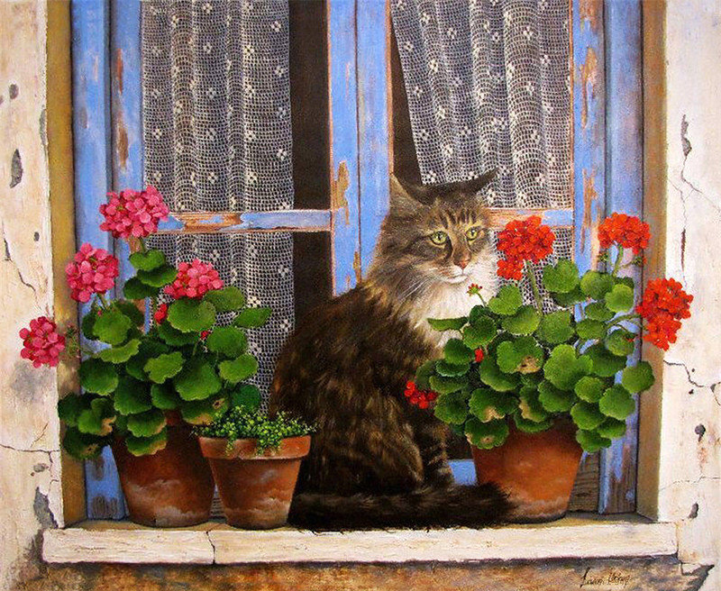 Кошка на окошке - оригинал