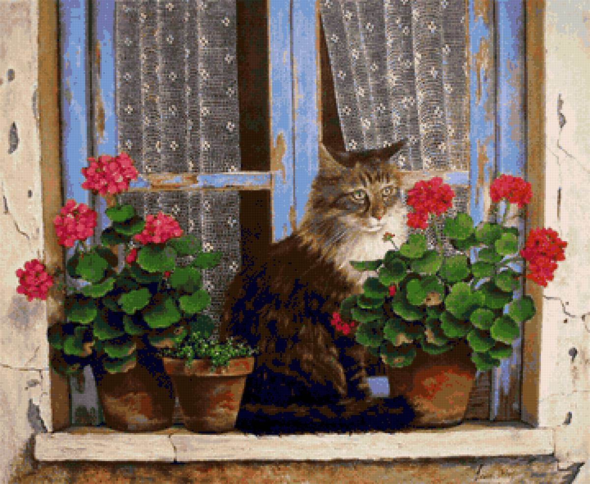 Кошка на окошке - предпросмотр