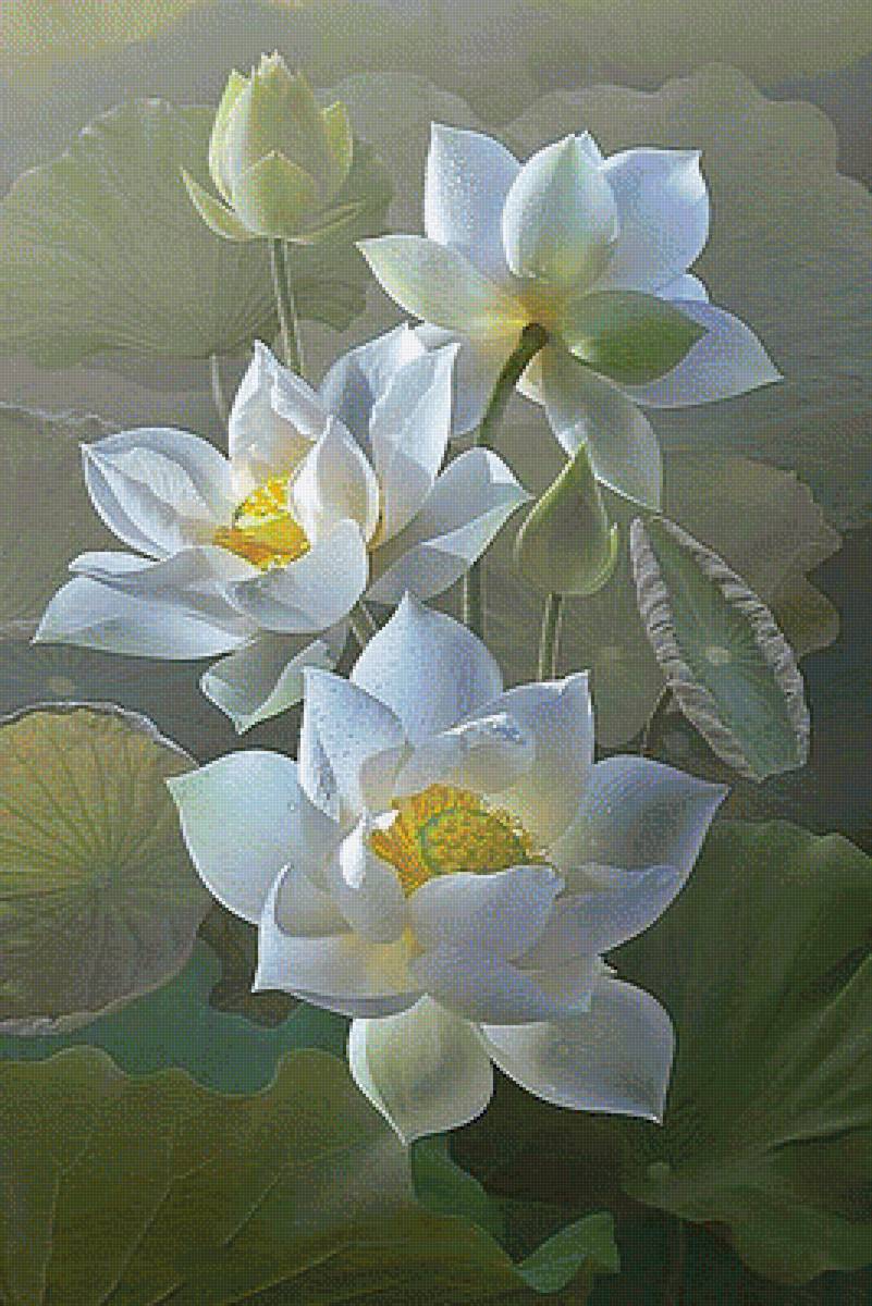 №1600588 - предпросмотр