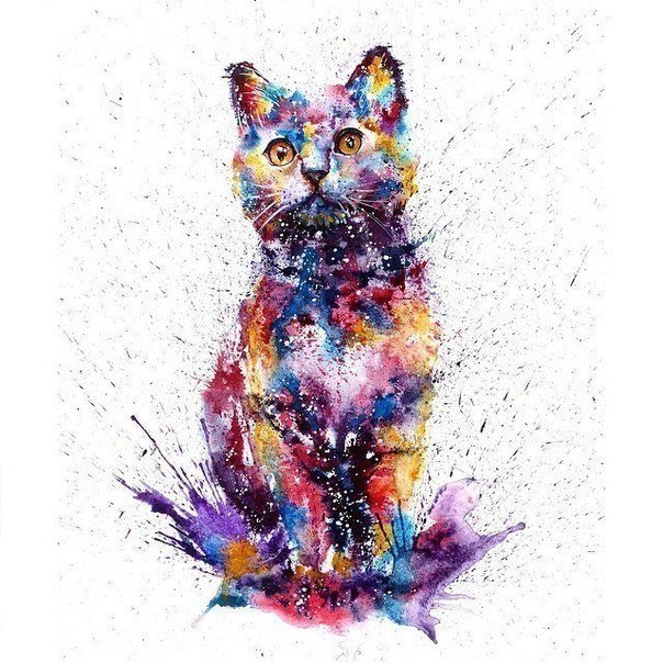 кошка - кошка краски радуга блики - оригинал