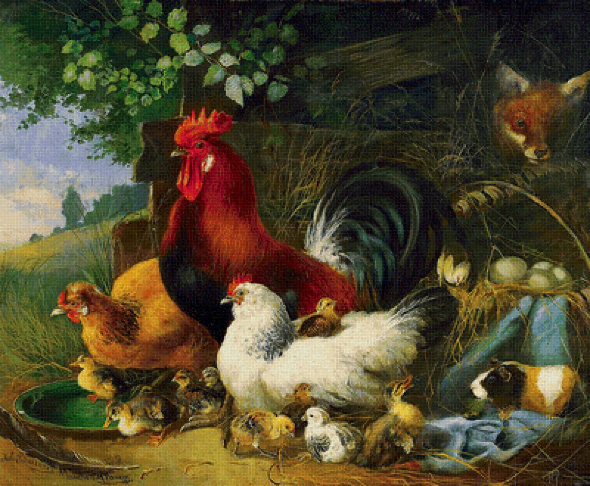 золотой гребешок - курочки, лисичка - предпросмотр