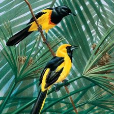 Схема вышивки «желтые сороки»