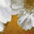 Предпросмотр схемы вышивки «Букет цветов» (№1600855)
