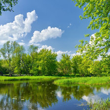 Схема вышивки «природа2»