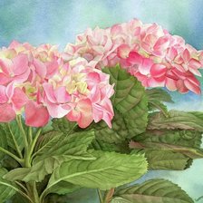 Схема вышивки «№1601407»