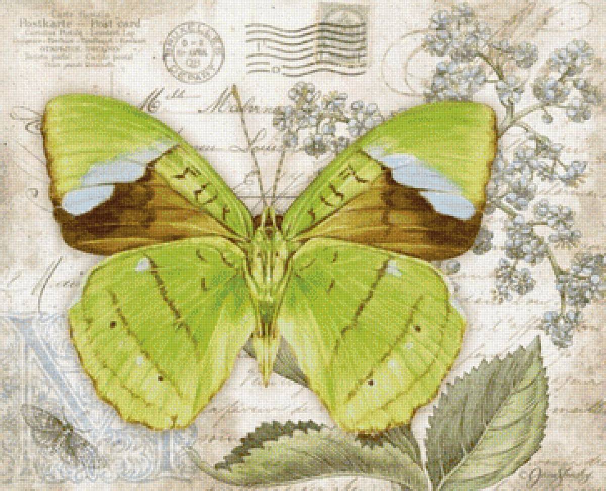 бабочки 1 - бабочки - предпросмотр