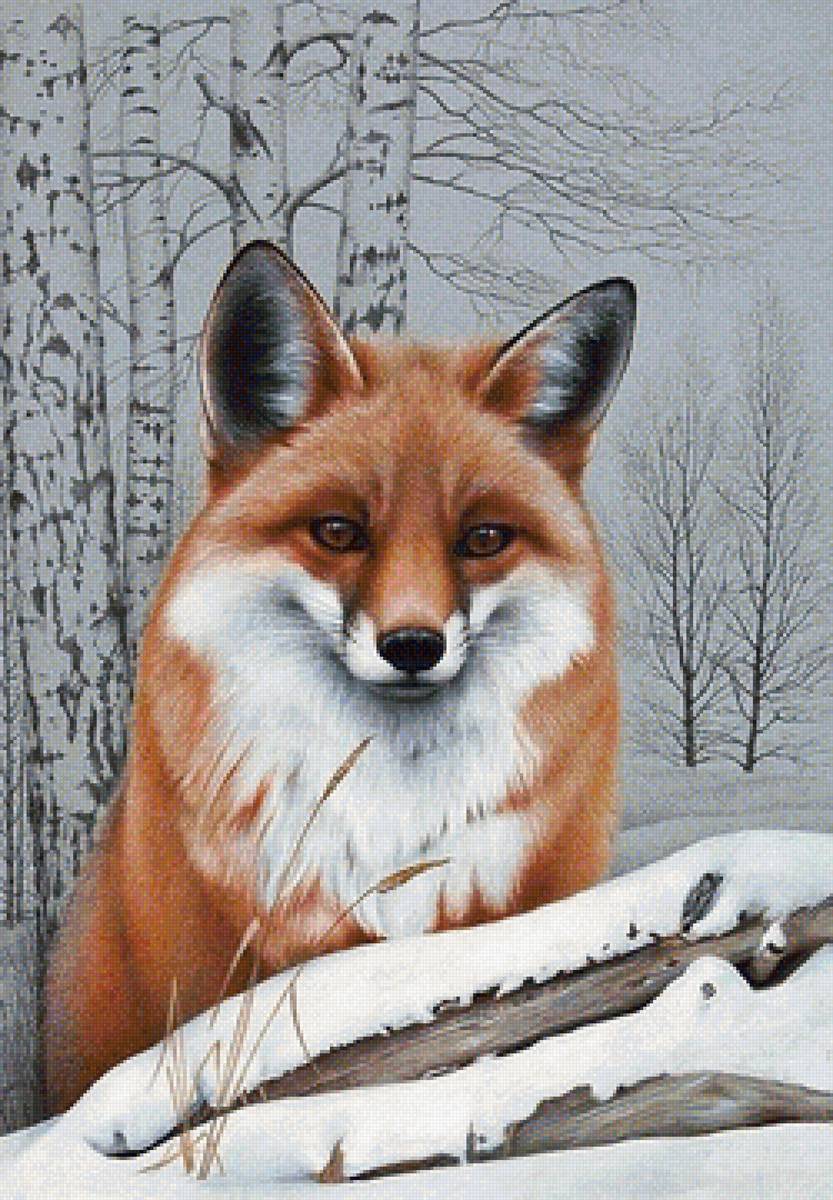 Лиса - животные - предпросмотр