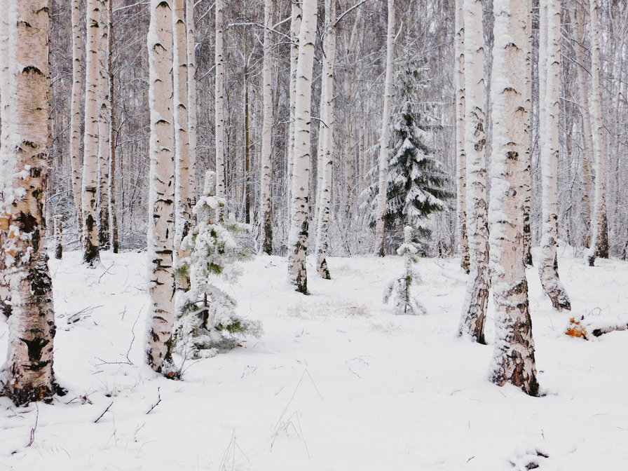 №1601802 - оригинал