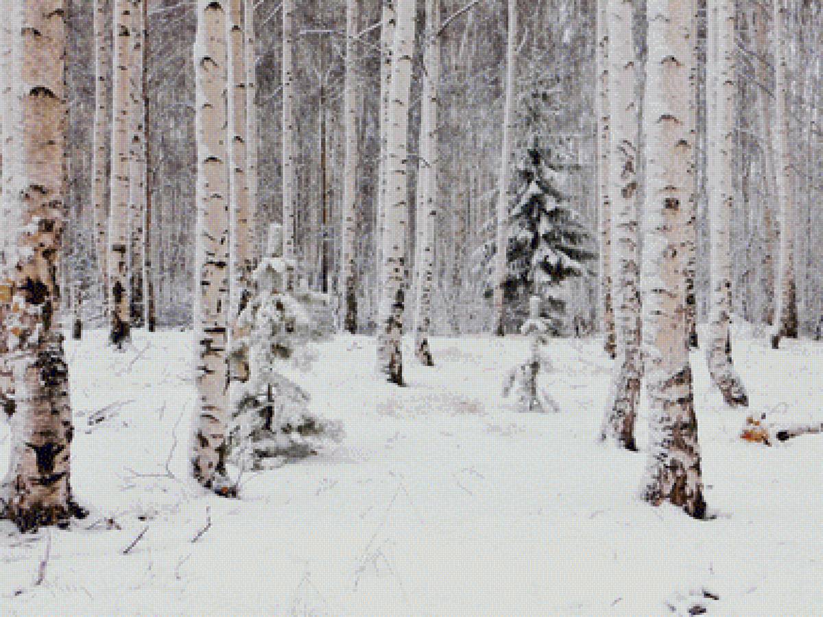 №1601802 - предпросмотр