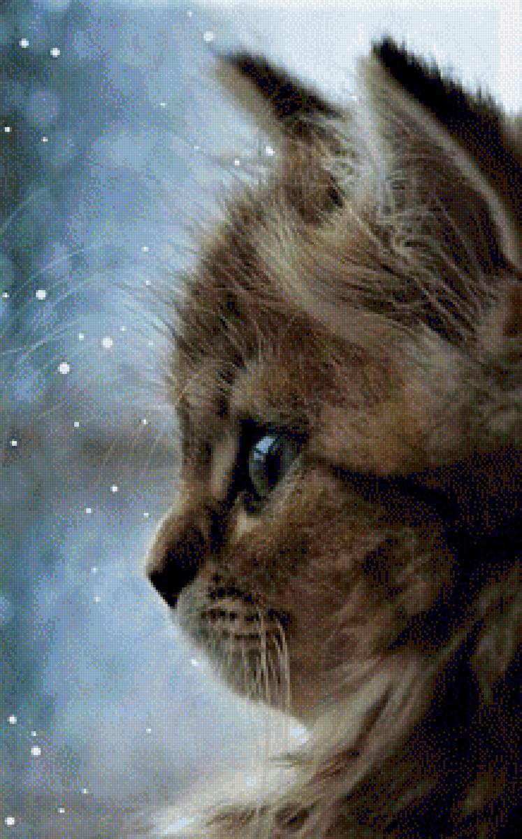 КОШКА - природа, кошка, животные - предпросмотр