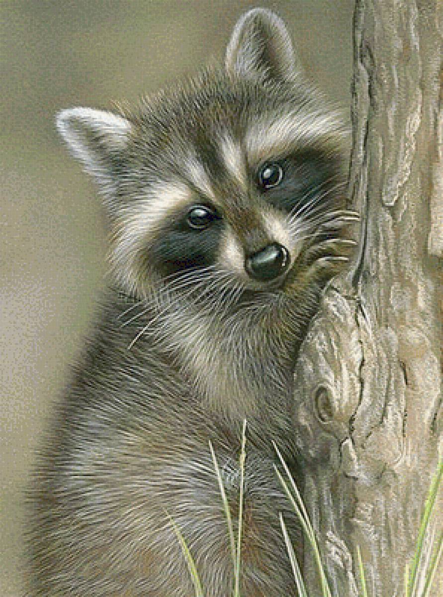 №1602190 - предпросмотр