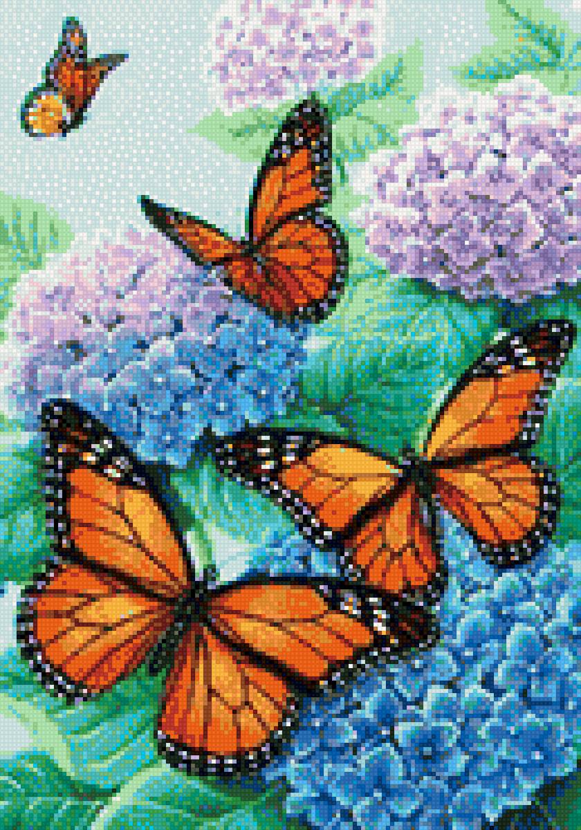 Бабочки - предпросмотр