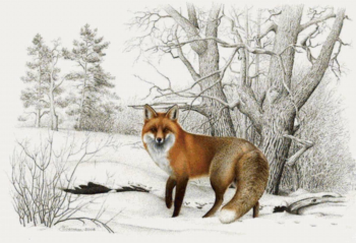 Лиса - животные - предпросмотр