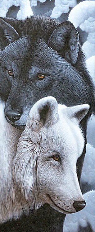 №1602472 - оригинал