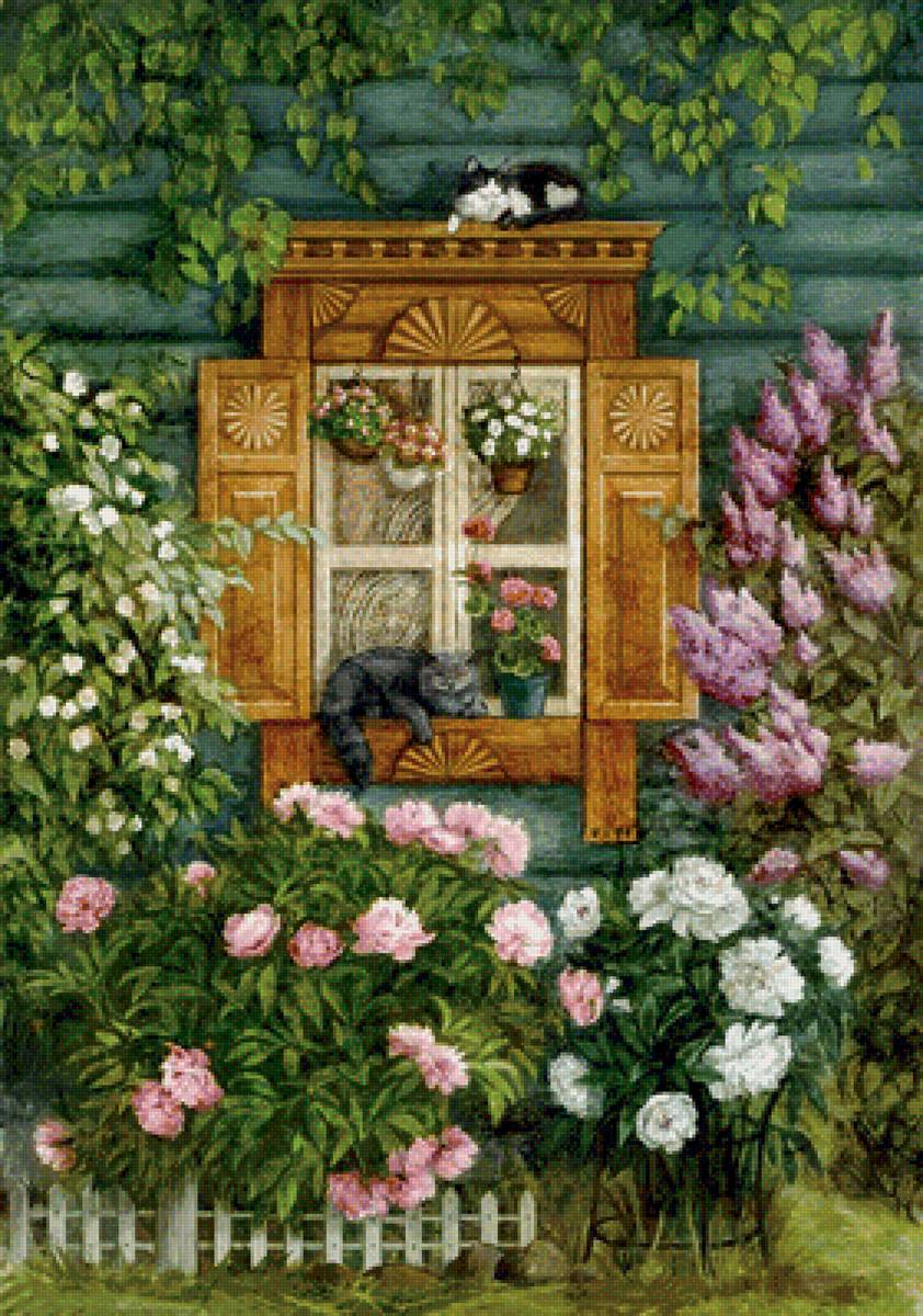 отдых в деревне - кот, сад, цветы, дача, окно, серень - предпросмотр