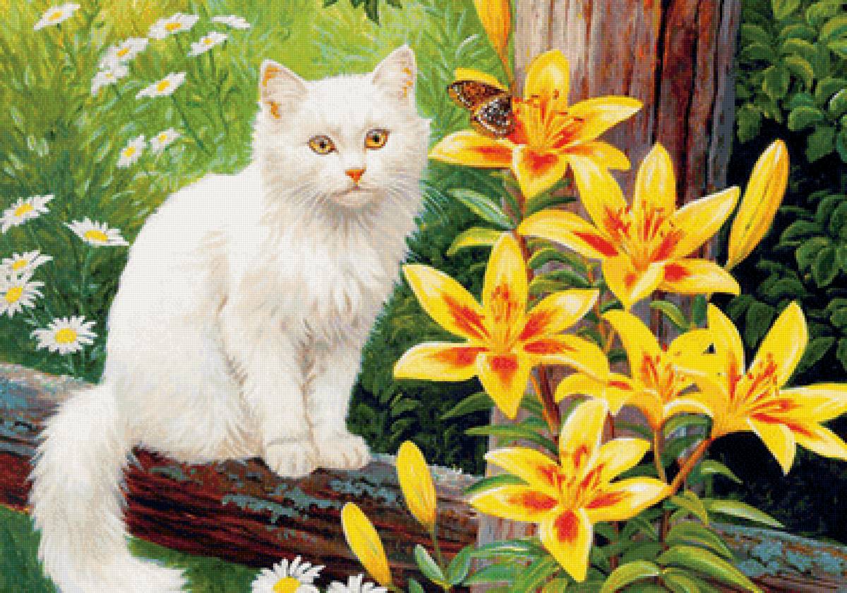 Котик - цветы, природа, сад, арт, кот - предпросмотр