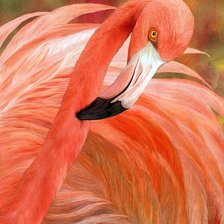 Схема вышивки «Фламинго»