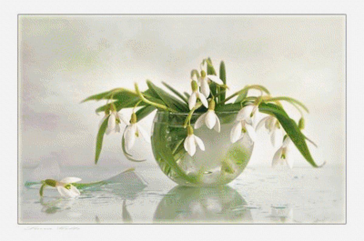 ПОДСНЕЖНИКИ - подснежники - предпросмотр